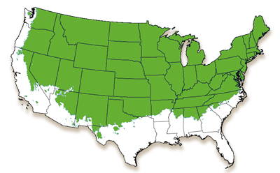 growing zone 3-7