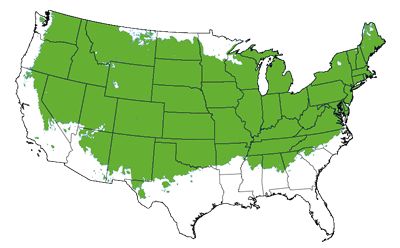 growing zone 4-7