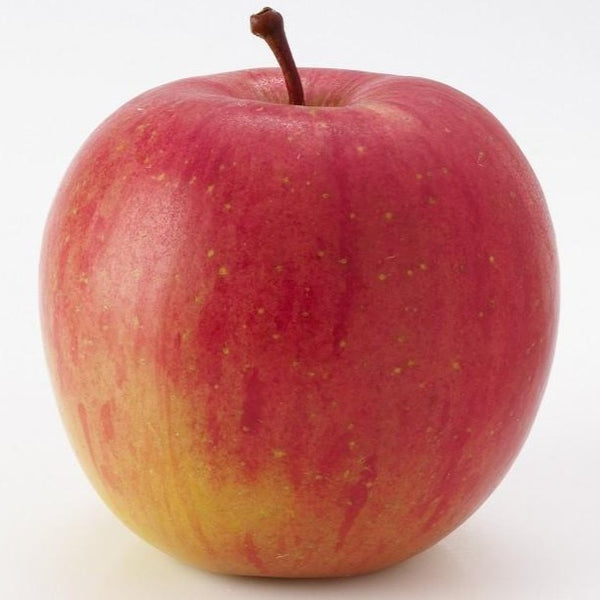 Fuji Apple