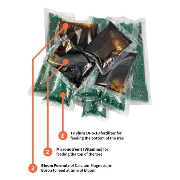 Citrus Tree Care Kit