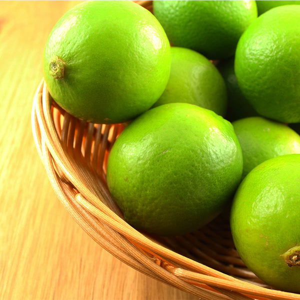 Key Lime Tree