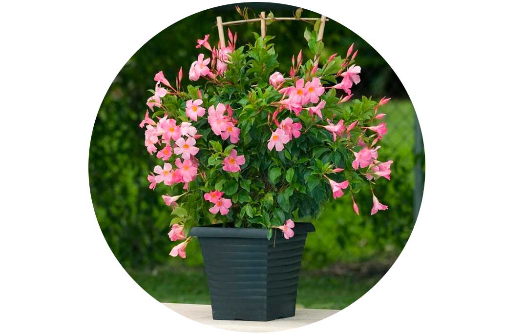 22 inch plastic planter pots Planter 22