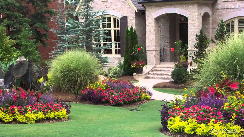 Landscaping plants shop