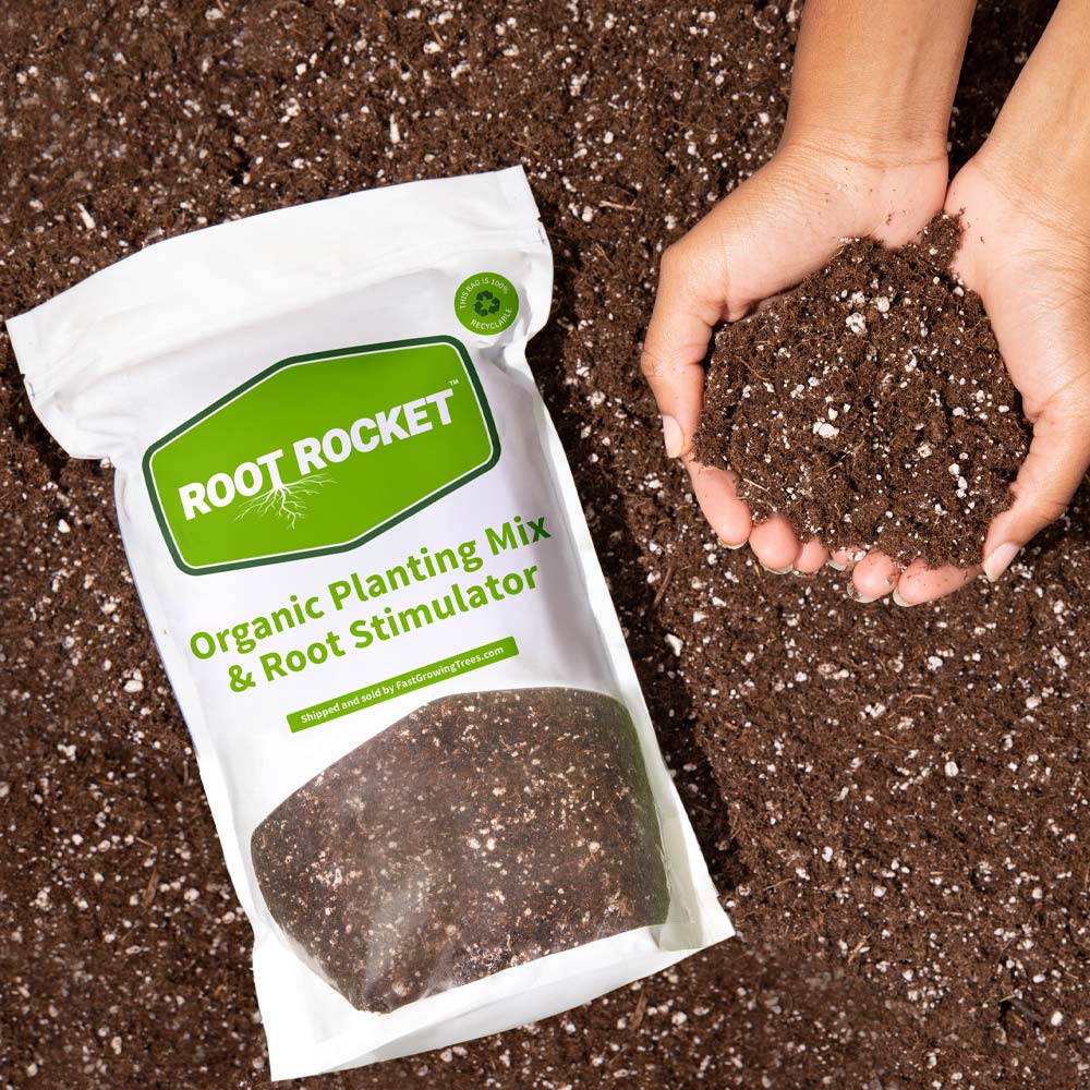 potting soil for planting trees Organic Planting Mix | Grow Plants Faster | PlantingTree.com