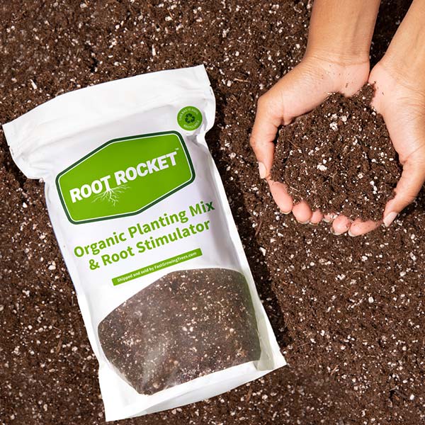 mg organic potting mix Organic Planting Mix | Grow Plants Faster | PlantingTree.com