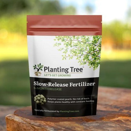 plant tree fertilizer Slow-Release Fertilizer | Feeds for 6 Months | No Burn