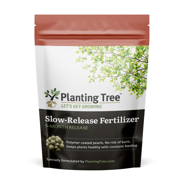 newly planted tree fertilizer Slow-Release Fertilizer | Feeds for 6 Months | No Burn