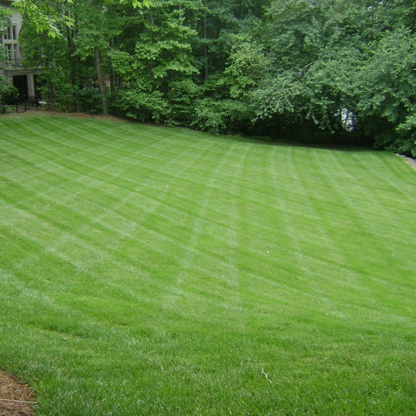 SOLU-CAL Enhanced Calcitic Lime