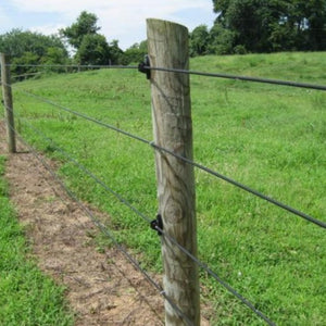 Lesco Prosecutor Prolong