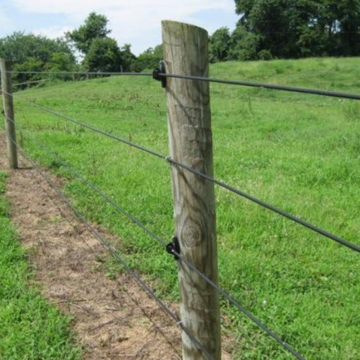 Lesco Prosecutor Prolong