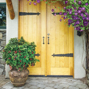 Bushel and Berry Raspberry Shortcake