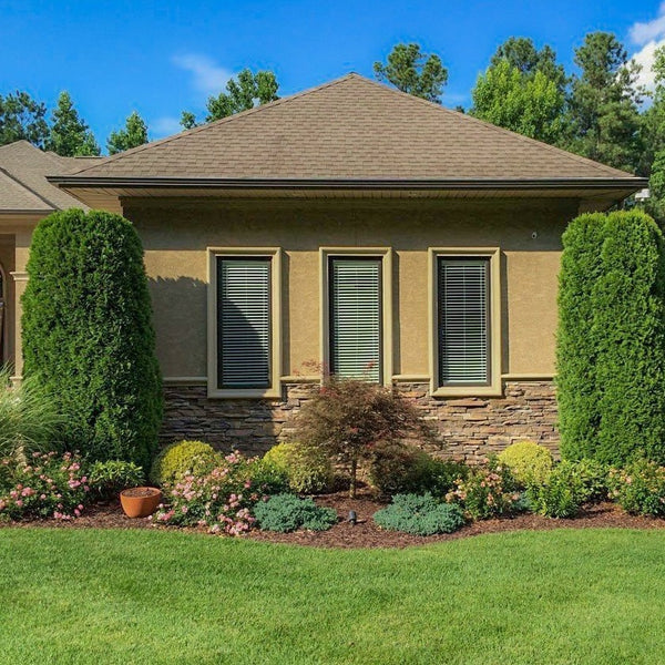Front Yard With Emerald Green Arborvitae