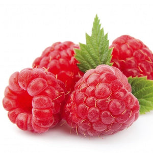 Raspberry Shortcake Bush