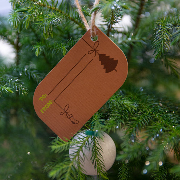 Live Table Top Christmas Tree