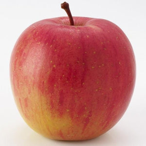 Fuji Apple