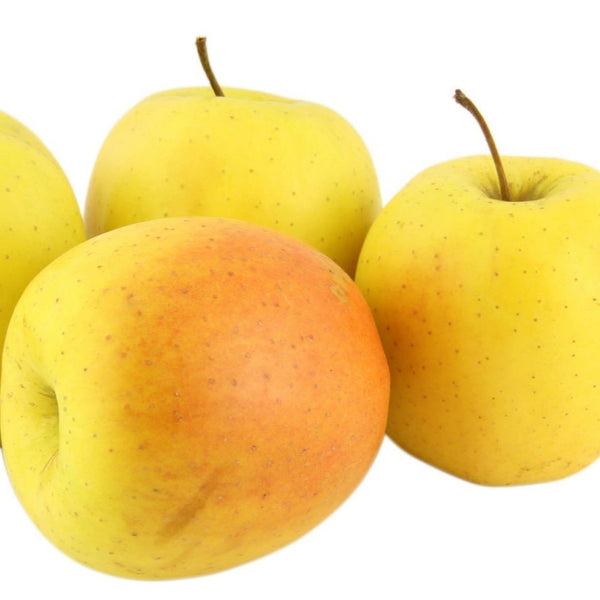 Buy affordable Yellow Delicious Apple trees at our online nursery - Arbor  Day Foundation