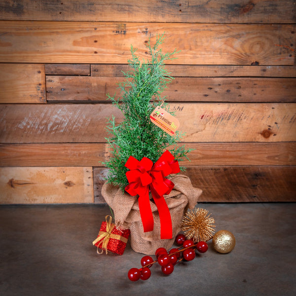 Desktop Christmas Tree