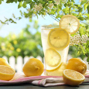 Lemonade from Meyer Lemon Tree