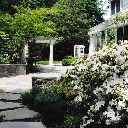 Autumn Angel® Encore® Azalea - PlantingTree