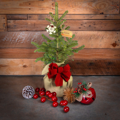 Table Top Christmas Tree