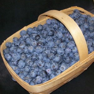 Tifblue Blueberries