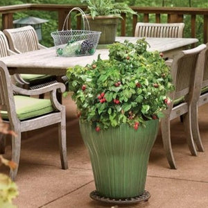 Bushel and Berry Raspberry Shortcake