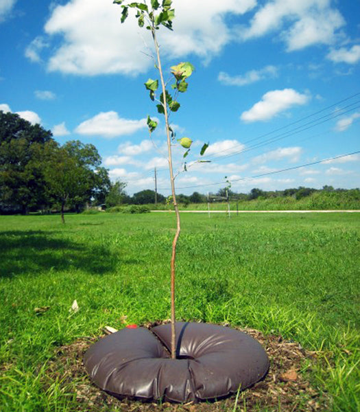 Amazon.com : Remiawy Tree Watering Bag, 20 Gallon Slow Release Watering Bag  for Trees, Tree Irrigation Bag Made of Durable PVC Material with Zipper (4  Pack 5-8 Hours Releasing Time) : Patio, Lawn & Garden