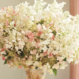 Quick Fire Hydrangea 