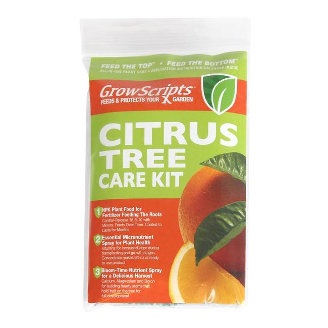 lemon tree plant fertilizer First-Ever Proven Container Citrus Tree Care Fertilizer Kit