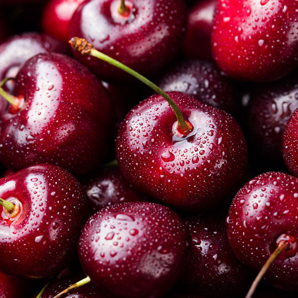 Black Tartarian Cherry Tree