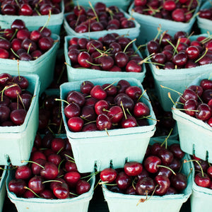 Black Tartarian Cherry Tree