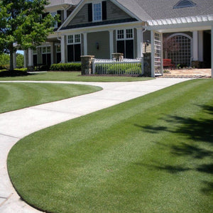 fertilized bermuda lawn