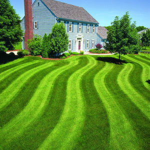 lesco fertilizer dark green lawn