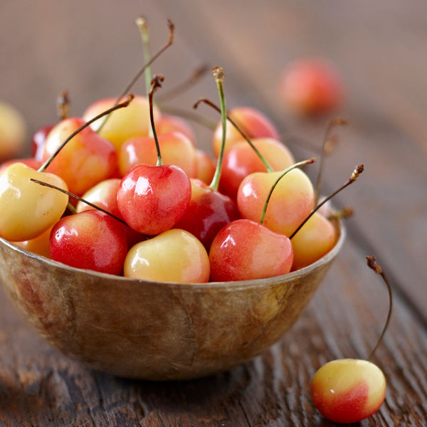 Rainier Cherry Tree