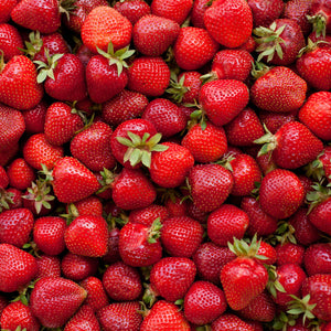 Everbearing Strawberry