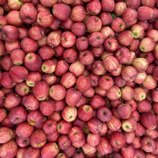 Gala Apples